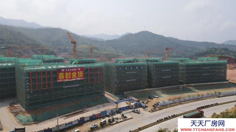 買廠房 找萬洋 量身定制 首付20%