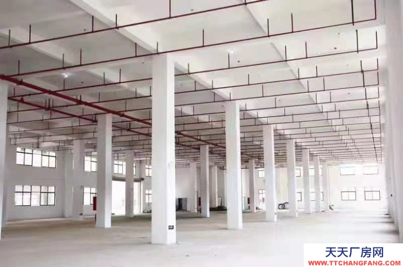 出售50年產(chǎn)權(quán)獨門獨院廠房