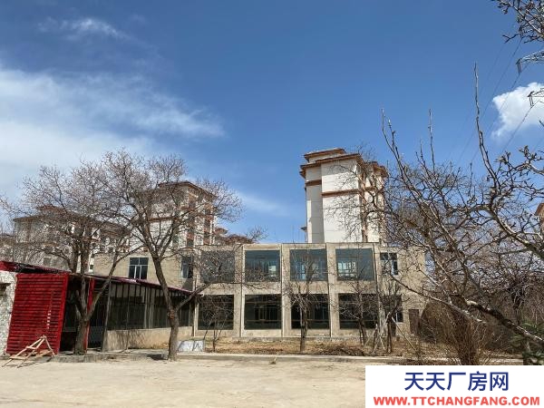 樂都區青石頭農莊斜對面（悅來飯館）隔壁