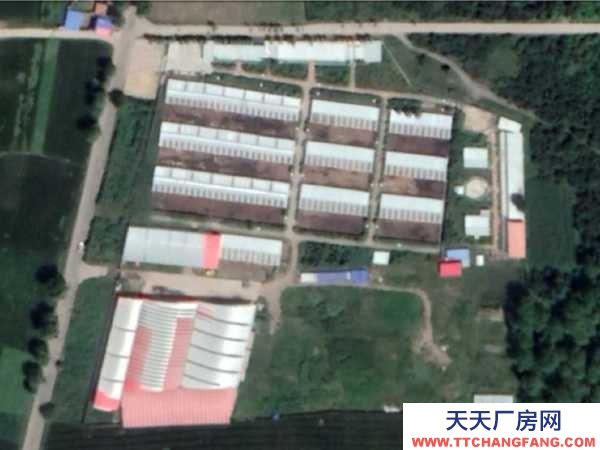 互助標準化養(yǎng)殖基地全套轉(zhuǎn)讓出售