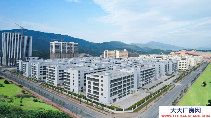 買廠房 找萬洋 量身定制 首付20% 18319897232