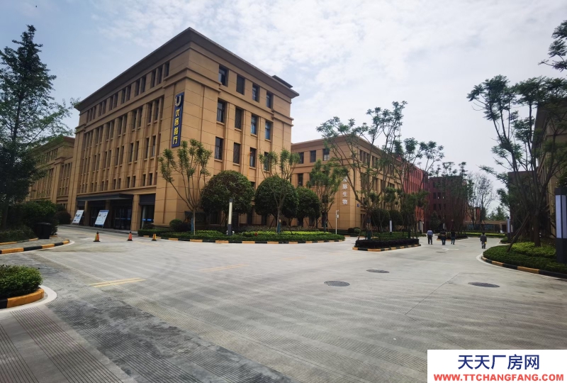 溫江廠房現(xiàn)房出租醫(yī)療器械主題性園區(qū)
