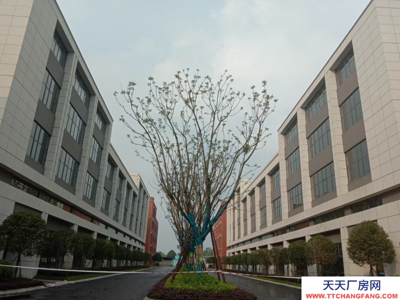 溫江廠房現(xiàn)房出租醫(yī)療器械主題性園區(qū)