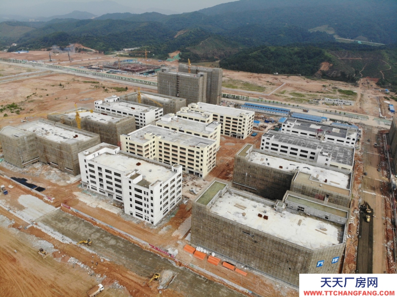 買廠房 找萬洋 量身定制 首付20%