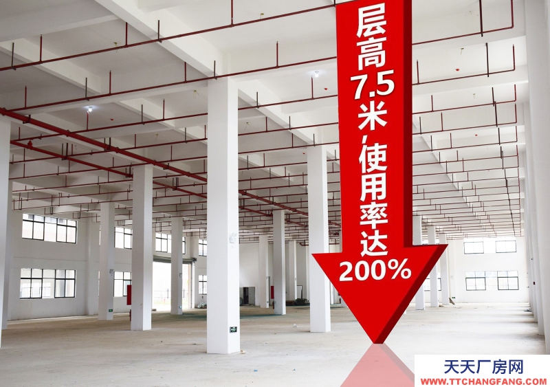 買廠房 找萬洋 量身定制 首付20%