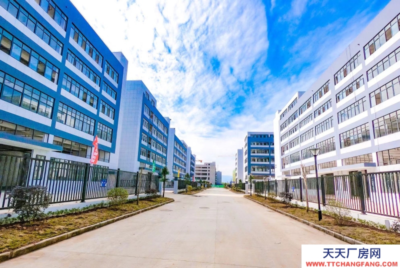 買廠房 找萬洋 量身定制 首付20%