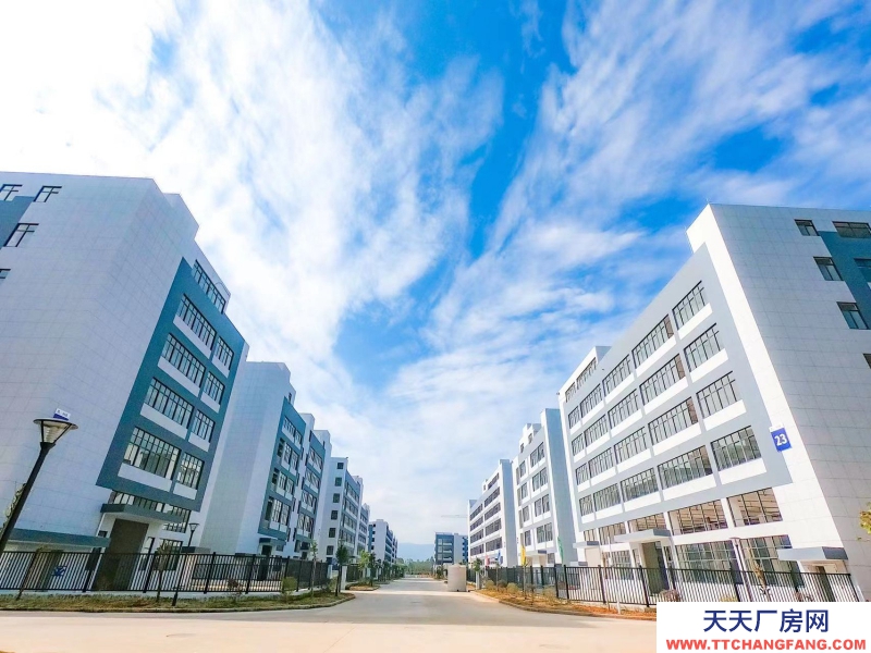 買廠房 找萬洋 量身定制 首付20%