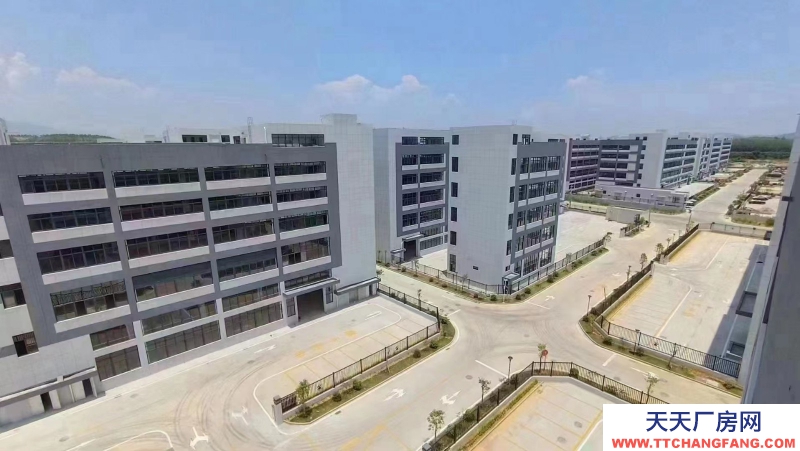 五十年產權廠房 首款10% 按需定制 獨門獨院