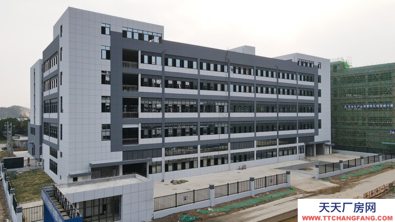 買廠房 找萬洋 50年產權 量身定制 首付20%