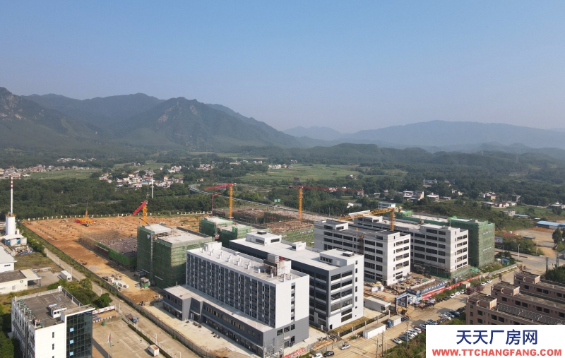 買廠房 找萬洋 50年產權 量身定制 首付20%