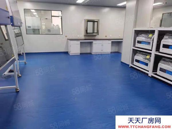 和平滿融800平制藥廠房科技型產業(yè)租金減免，一樓7.2舉架生產研發(fā)。