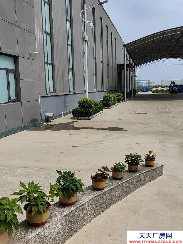 定州 西城(飲料廠房出租) 地理位置優越，離定州西高速口1