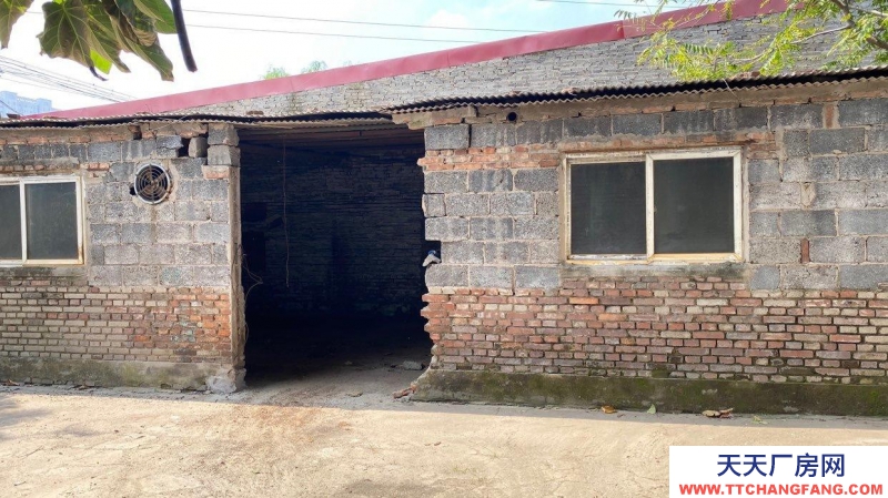 定州 西城(出租) 正房四間 東西兩側配房可做倉庫