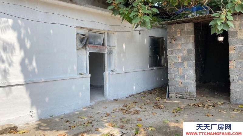 定州 西城(出租) 正房四間 東西兩側配房可做倉庫