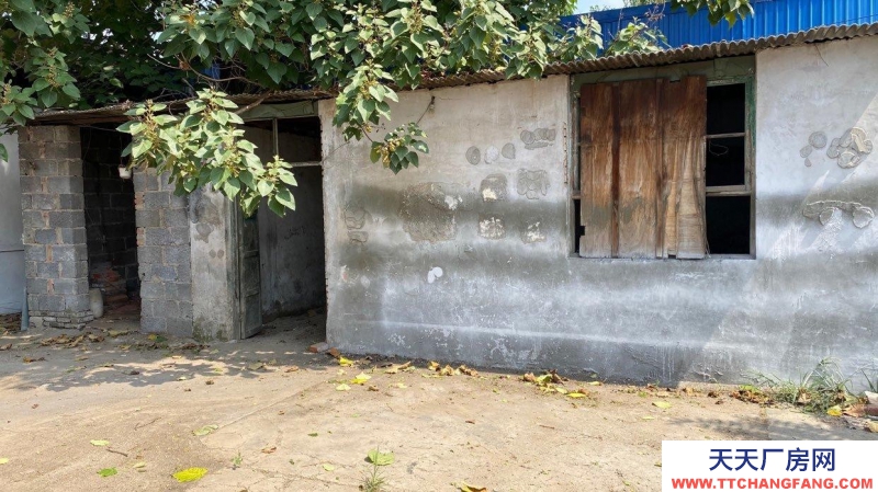 定州 西城(出租) 正房四間 東西兩側配房可做倉庫