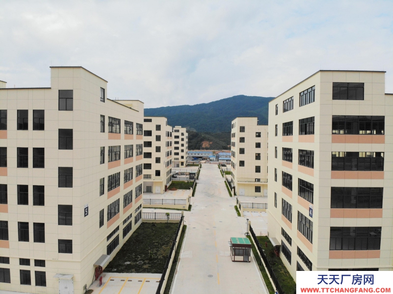 買廠房 找萬洋 量身定制 首付20%