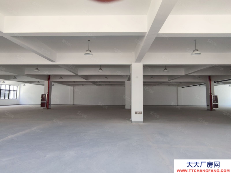 臺州市仙居(出租) 2樓廠房出租1000平 4.2米高 配3噸貨梯高速口框架結(jié)構(gòu)