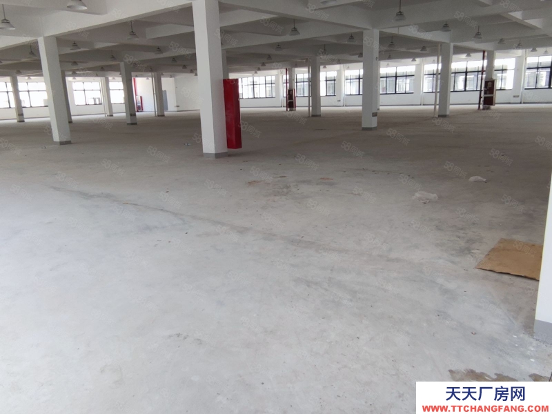 臺州市仙居(出租) 4樓廠房出租 高速口 框架結(jié)構(gòu)3噸貨梯大平層公寓餐廳配套齊全