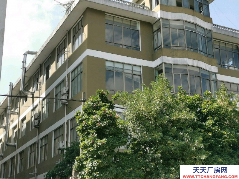 臺州市仙居(出租) 工藝品城大馬路邊位置好，入出方便整租，獨門獨戶 水果制品