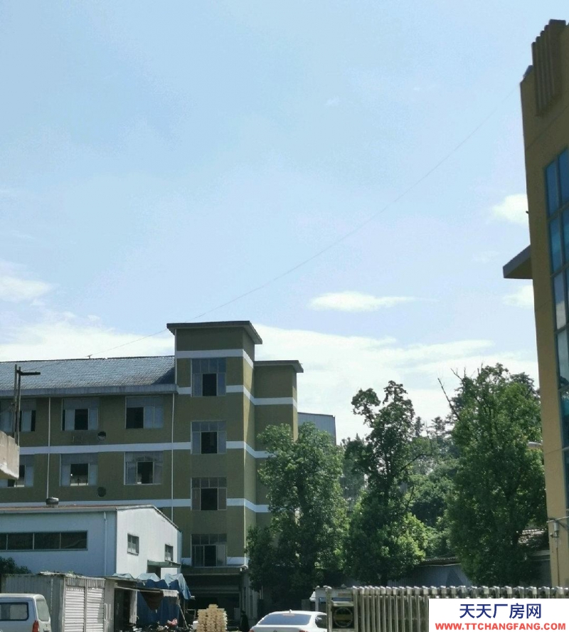 臺州市仙居(出租) 工藝品城大馬路邊位置好，入出方便整租，獨門獨戶 水果制品