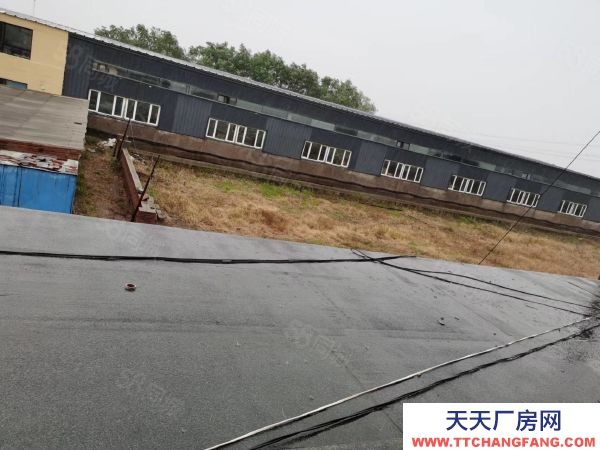 蘇家屯周邊廠房出售，11畝地，只需160萬