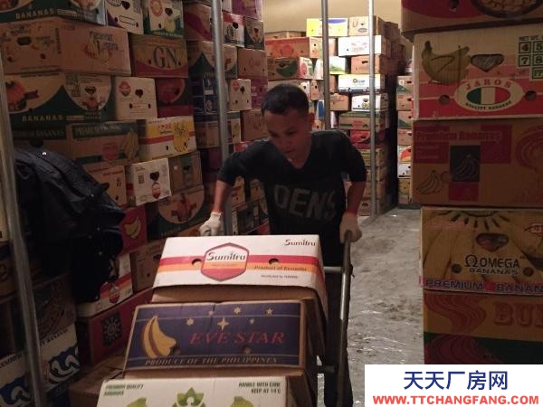 蘇家屯 冷庫（氣調庫） 出租