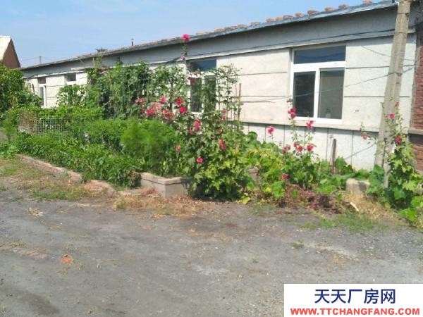 遼中高速近，福利企業(yè)，帶100延米門市