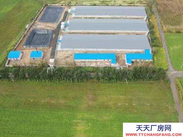 遼中年建養(yǎng)豬場(chǎng)，設(shè)施齊全，豬舍面積5500平，占地20畝