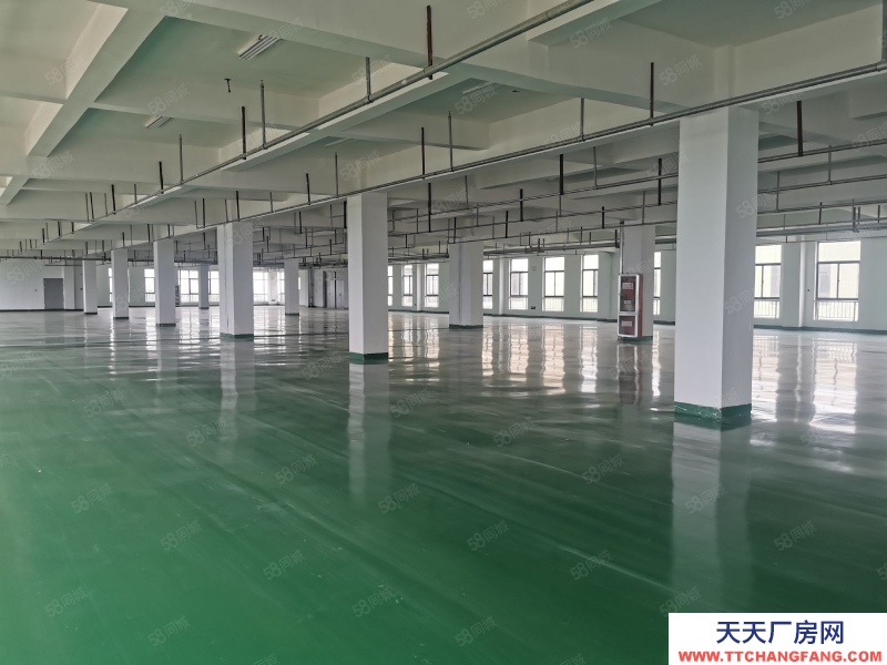 (出租) 2500方標準化廠房 有消防備案 三相電入戶 可議價