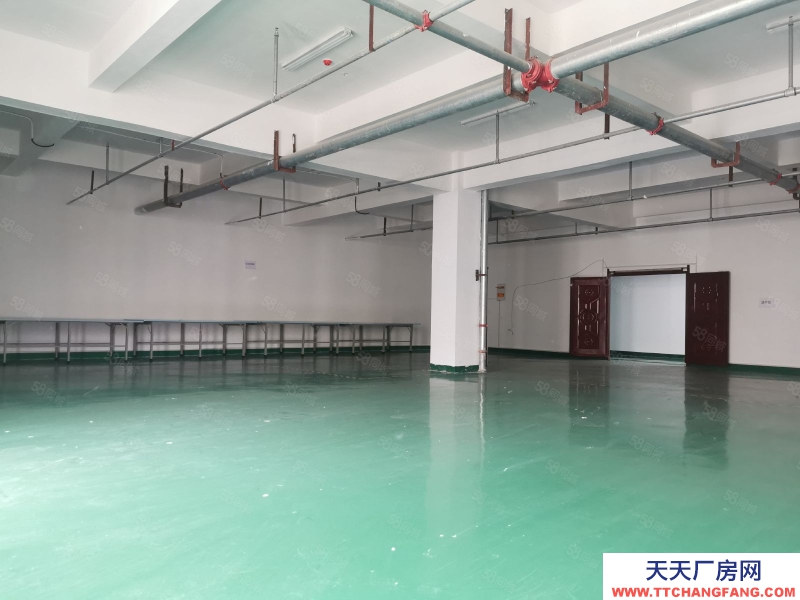 (出租) 標(biāo)準(zhǔn)化廠房200方至5000方 地坪墻面已完善 三相電入戶