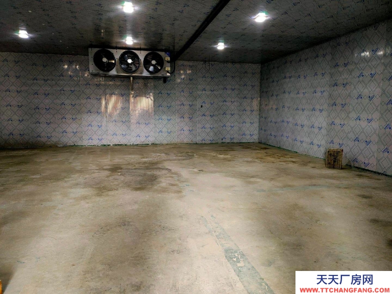 (出租) 冷庫倉庫廠房 保鮮冷凍庫低價對外招商出租