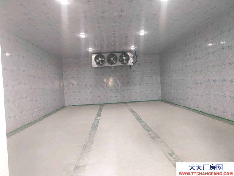 (出租) 冷庫倉庫廠房 保鮮冷凍庫低價對外招商出租