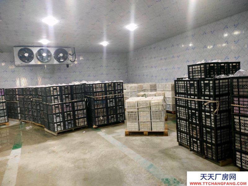 (出租) 冷庫倉庫廠房 保鮮冷凍庫低價對外招商出租
