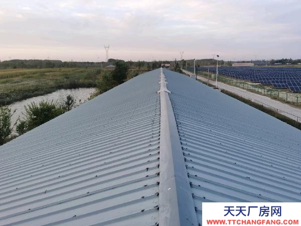 遼寧養殖廠，養雞廠，養鴨廠轉讓，占地15畝，價格面議