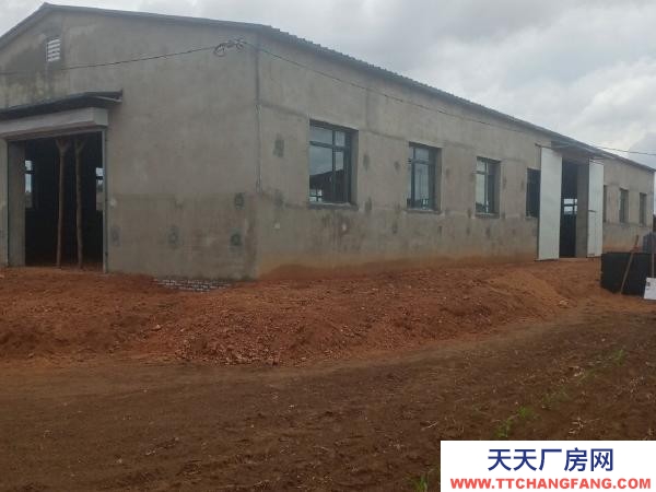 法庫獨門獨院今年新建筑的占地面積1500平左右，廠房400平。