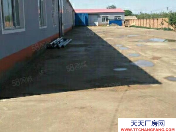 新民張屯附近廠房3200平獨(dú)院出租