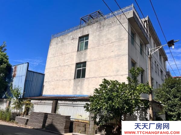 宜春市樟樹糕點廠房 2000平，紅本，土地證房產證