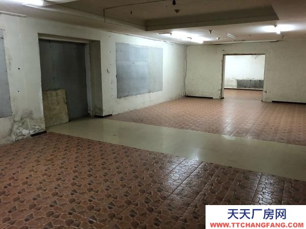 西崗區奧林匹克高爾基路倉庫 50/100/150