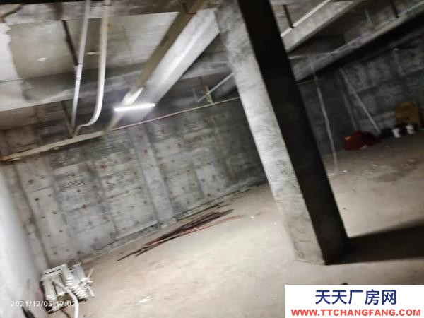 西崗交通方便，近大菜市，有水，價(jià)格面議