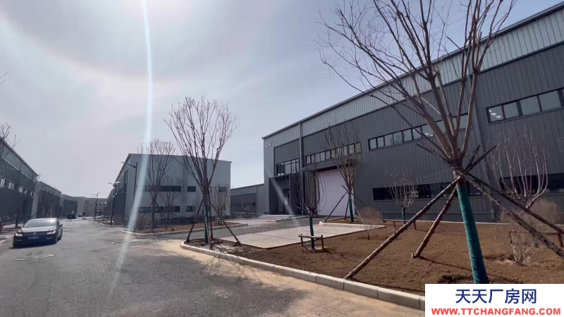 金州獨棟1200平輕鋼全新廠房，急售！可貸款