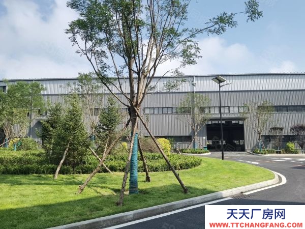 金州開發區全新廠房！賣！能貸款！