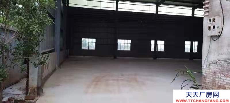 (出租) 無中介費，直接房源，證件齊全