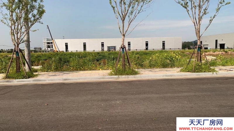 (出租) 蕭縣姬村新建廠房，誠(chéng)信出租