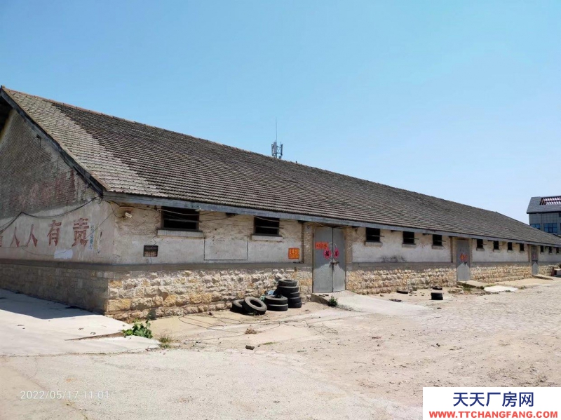 (出租) 出租碭山縣道南一庫倉庫