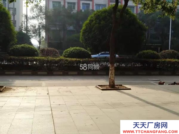 宜春市樟樹物資倉庫  出租樟樹老城區藥都公園