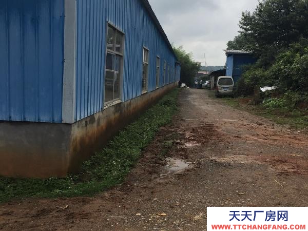 宜春市高安醬腌菜廠房  個人低價出租高安市大城鎮320國道旁1500平廠房，有三相電