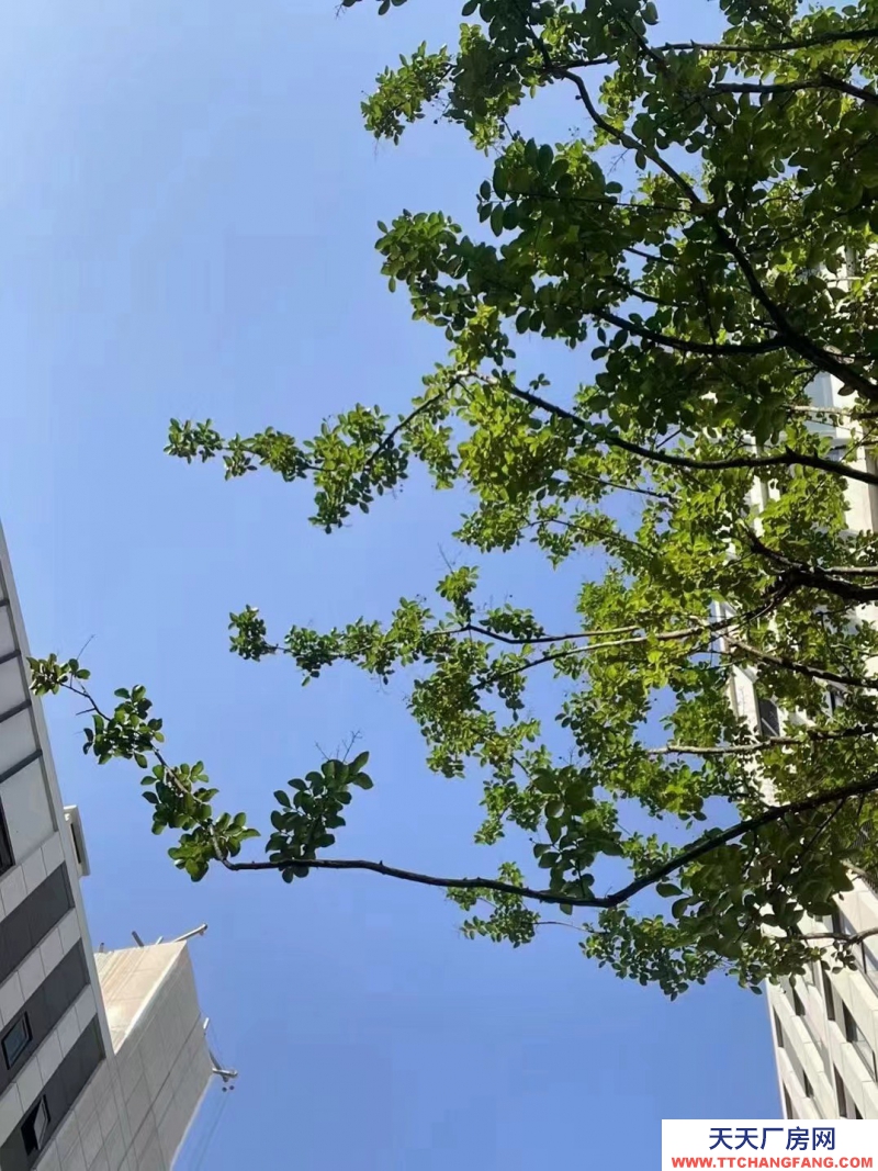 出售主城區唯一產權可分割園區