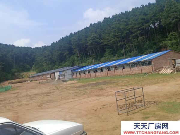 東洲動力電200千瓦，可合作