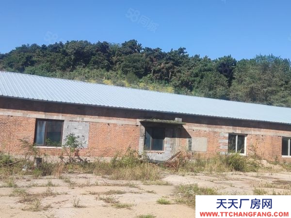 順城區(qū)望月路大型廠房低價出租