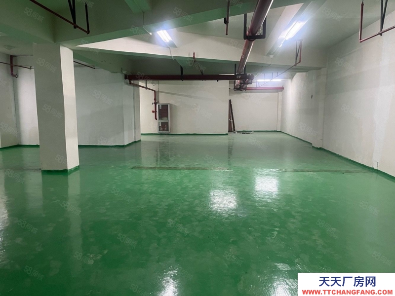 (出售) 單價1000多70年產權倉儲間 面積可選 公攤小利用空間大